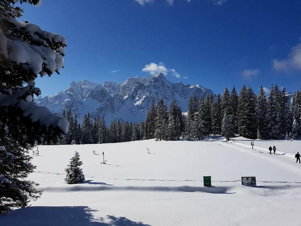 Appartamento Comelico Dolomiti Candide Zewnętrze zdjęcie
